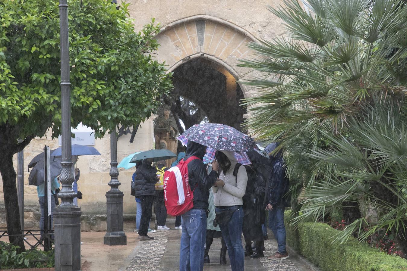 El turismo en el Puente de Todos los Santos en Córdoba, en imágenes