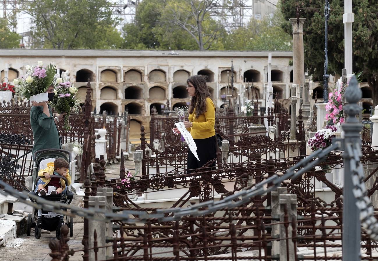 En imágenes, memoria y tradición en el cementerio de Sevilla