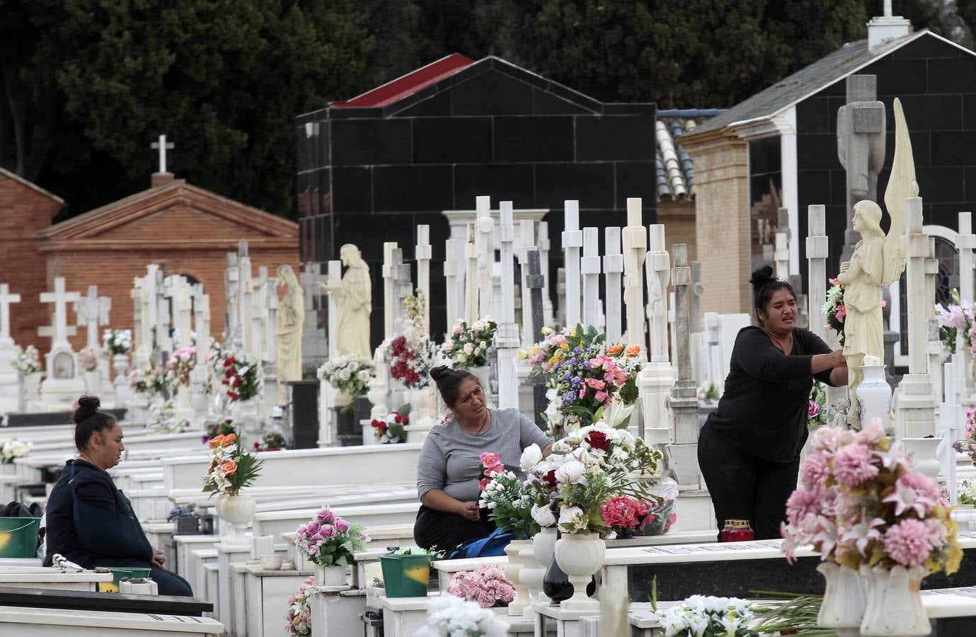 En imágenes, memoria y tradición en el cementerio de Sevilla