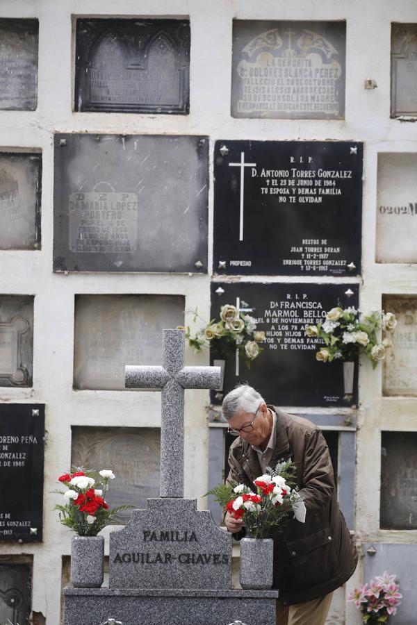 Las visitas a los cementerios el Día de Todos Los Santos en Córdoba, en imágenes