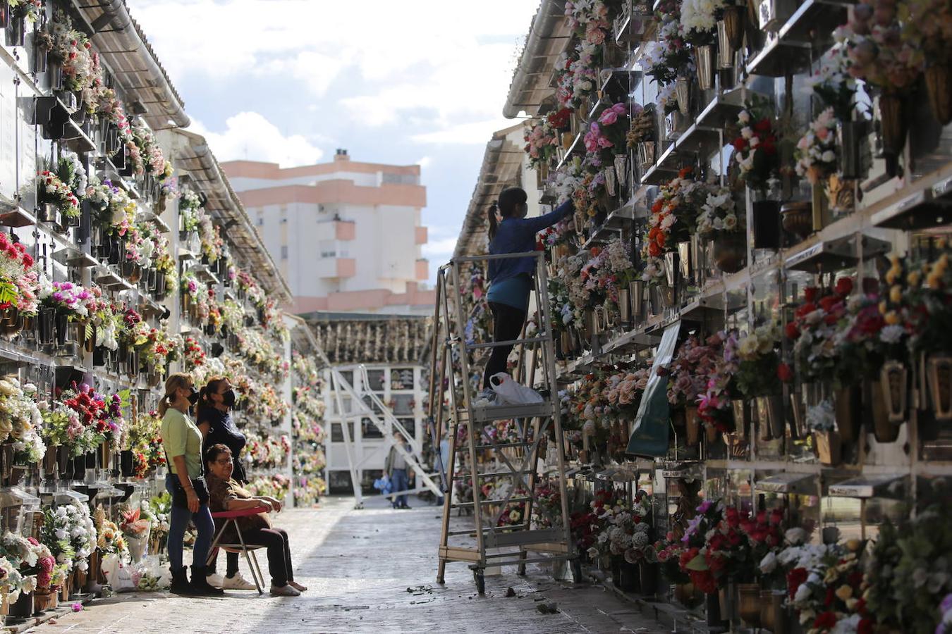 Las visitas a los cementerios el Día de Todos Los Santos en Córdoba, en imágenes