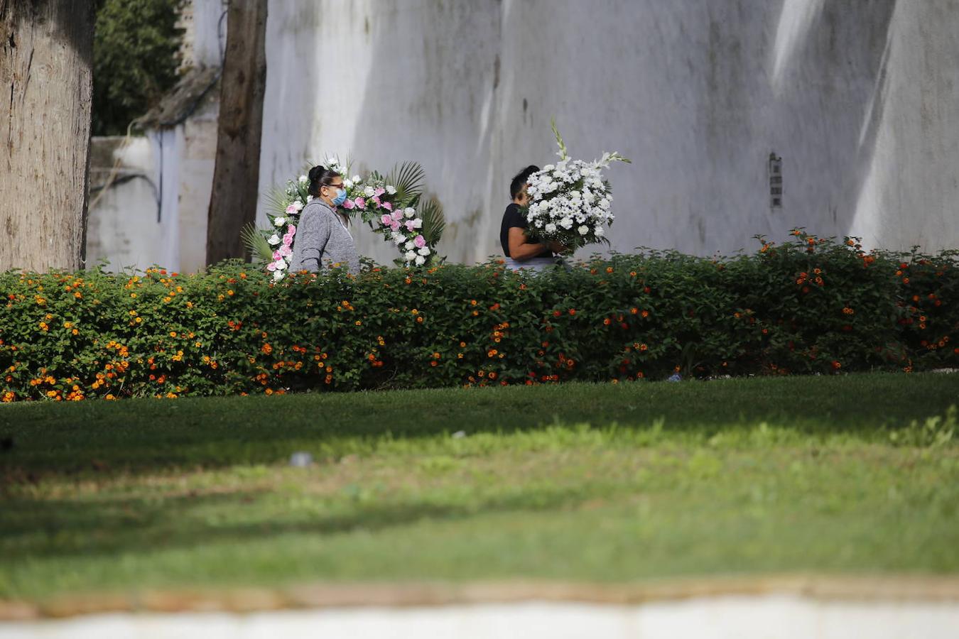 Las visitas a los cementerios el Día de Todos Los Santos en Córdoba, en imágenes