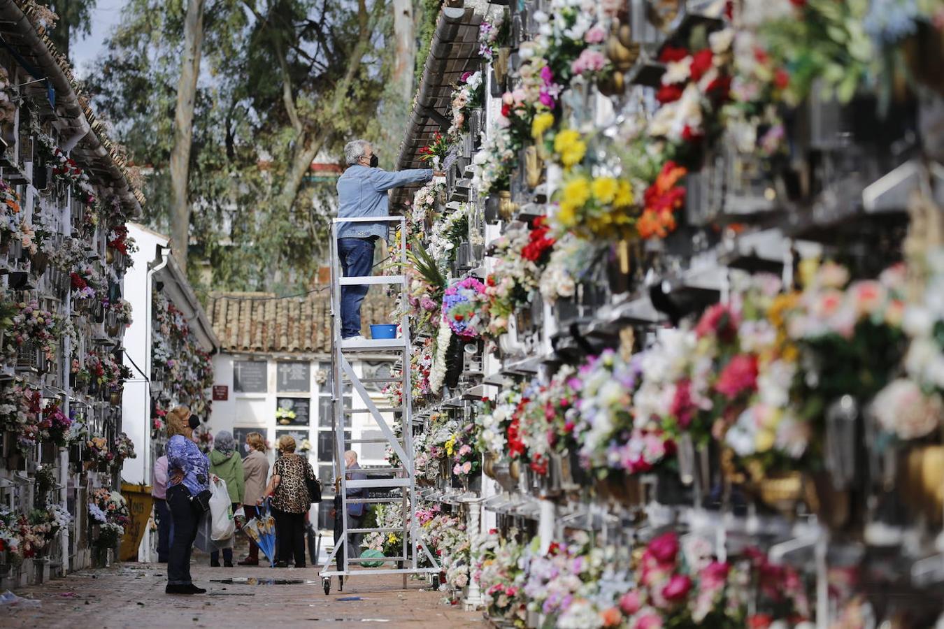 Las visitas a los cementerios el Día de Todos Los Santos en Córdoba, en imágenes