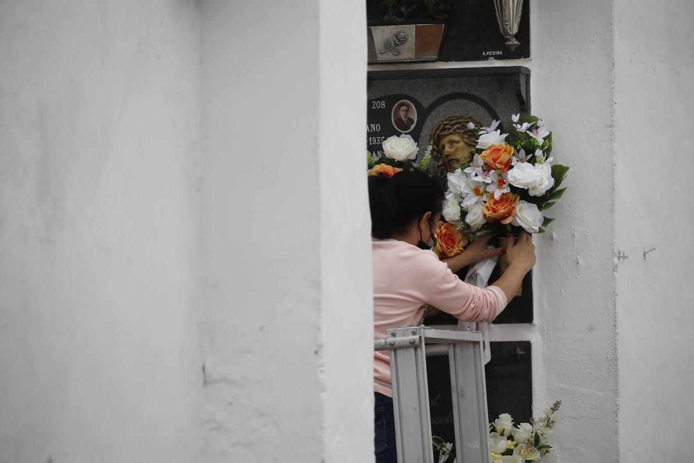 Las visitas a los cementerios el Día de Todos Los Santos en Córdoba, en imágenes