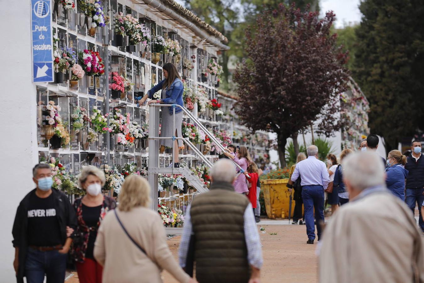 Las visitas a los cementerios el Día de Todos Los Santos en Córdoba, en imágenes