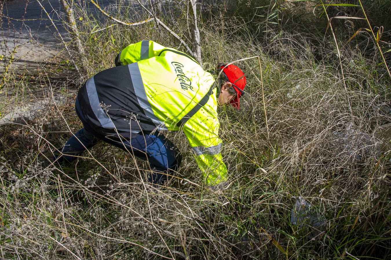 Recogida de residuos en la ribera del Guadalquivir de Sevilla, en imágenes