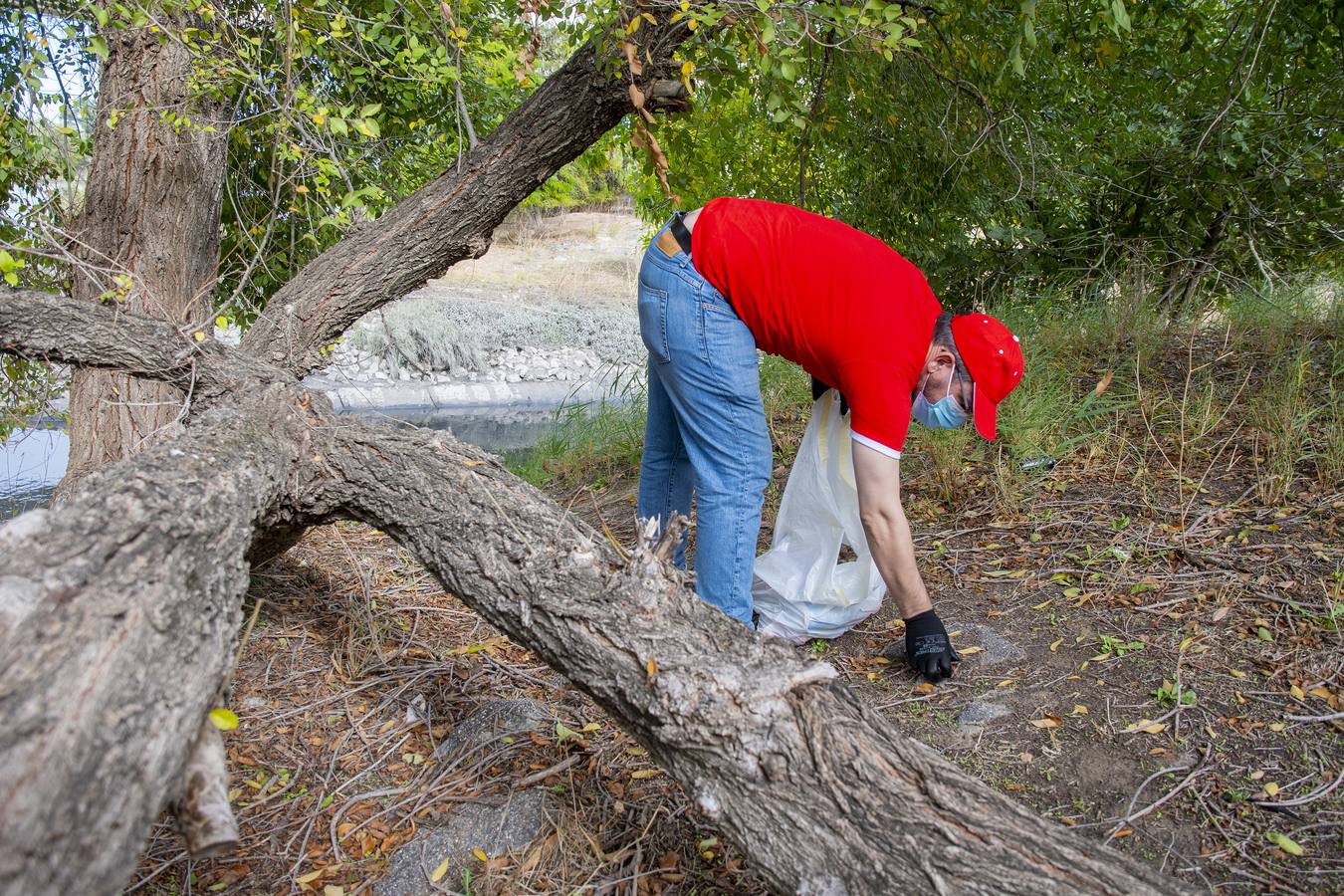 Recogida de residuos en la ribera del Guadalquivir de Sevilla, en imágenes