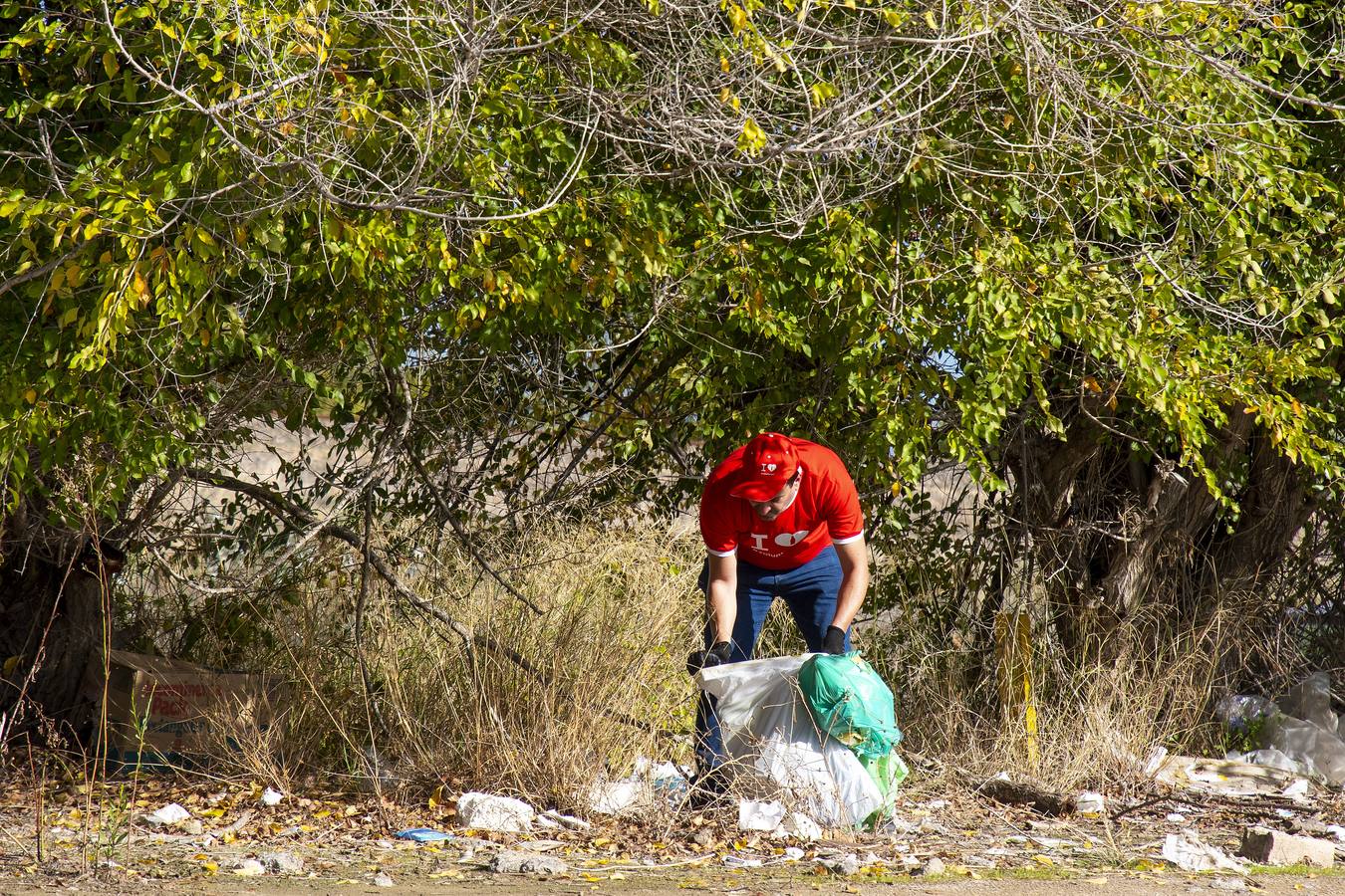 Recogida de residuos en la ribera del Guadalquivir de Sevilla, en imágenes