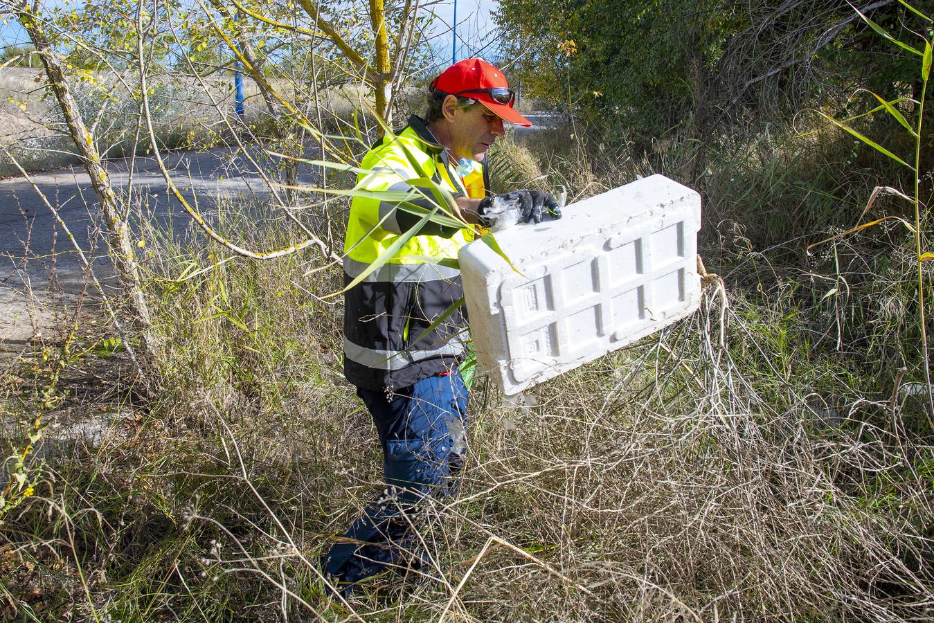 Recogida de residuos en la ribera del Guadalquivir de Sevilla, en imágenes