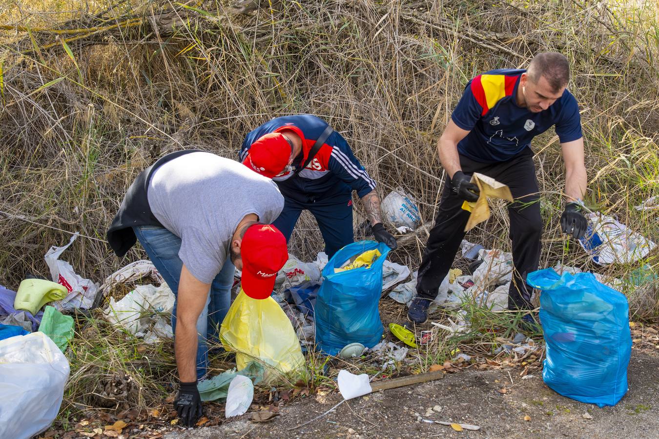 Recogida de residuos en la ribera del Guadalquivir de Sevilla, en imágenes