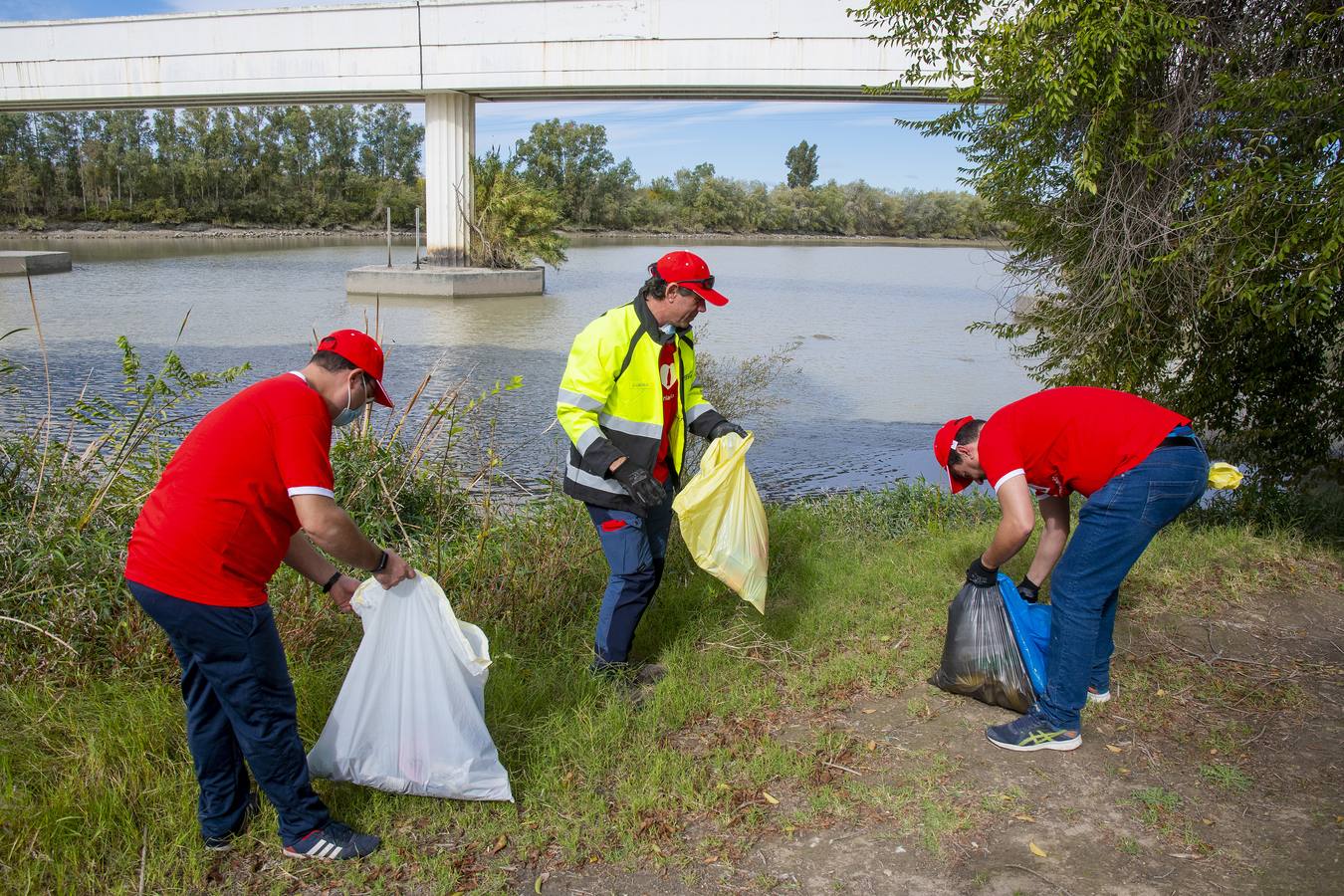 Recogida de residuos en la ribera del Guadalquivir de Sevilla, en imágenes