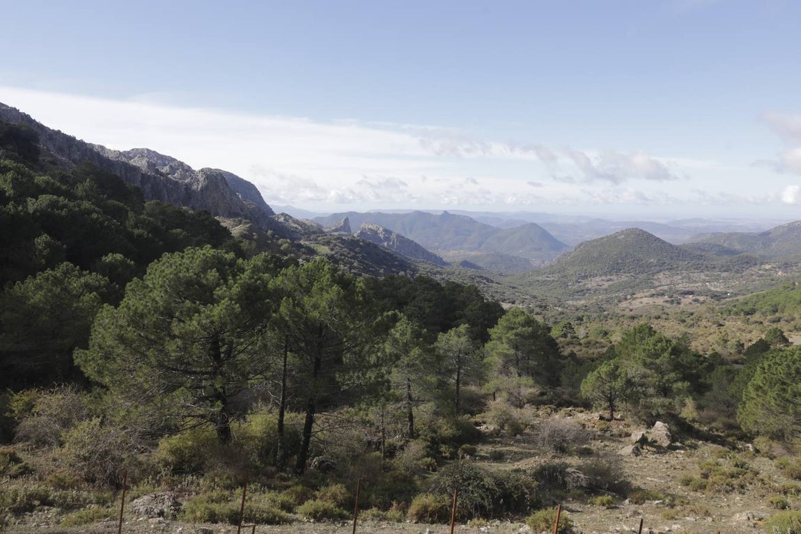 Fotos: Grazalema, en imágenes