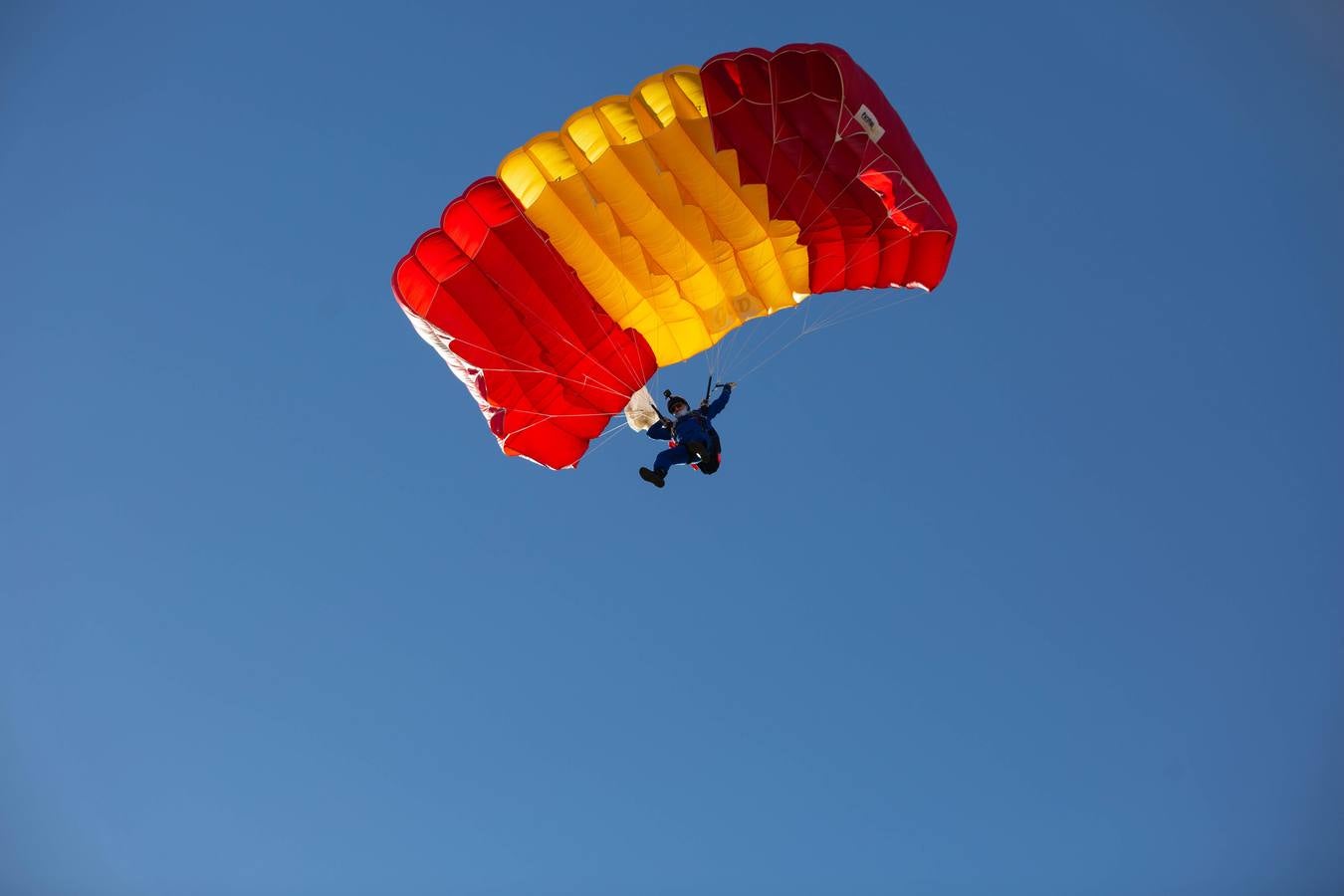 Jura de bandera en la plaza de toros de la Maestranza de Sevilla