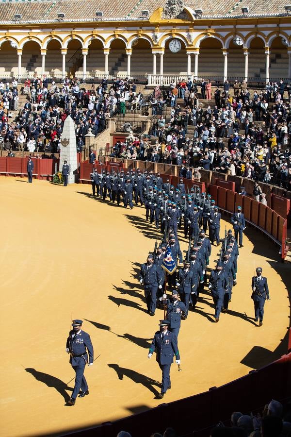 Jura de bandera en la plaza de toros de la Maestranza de Sevilla