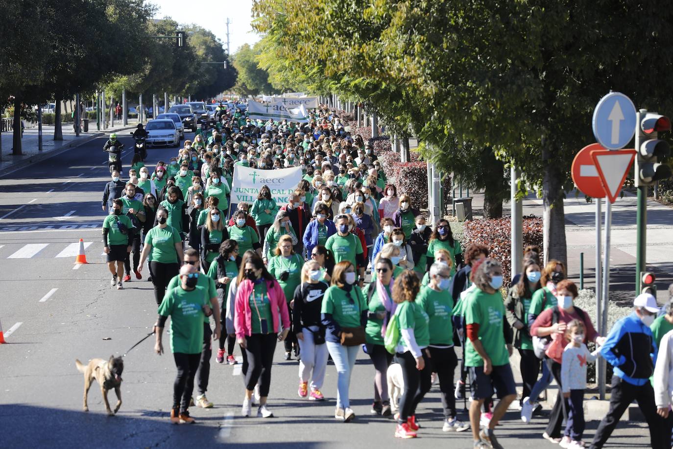 Felipe y Alfonso Reyes apadrinan la carrera contra el cáncer de Córdoba, en imágenes