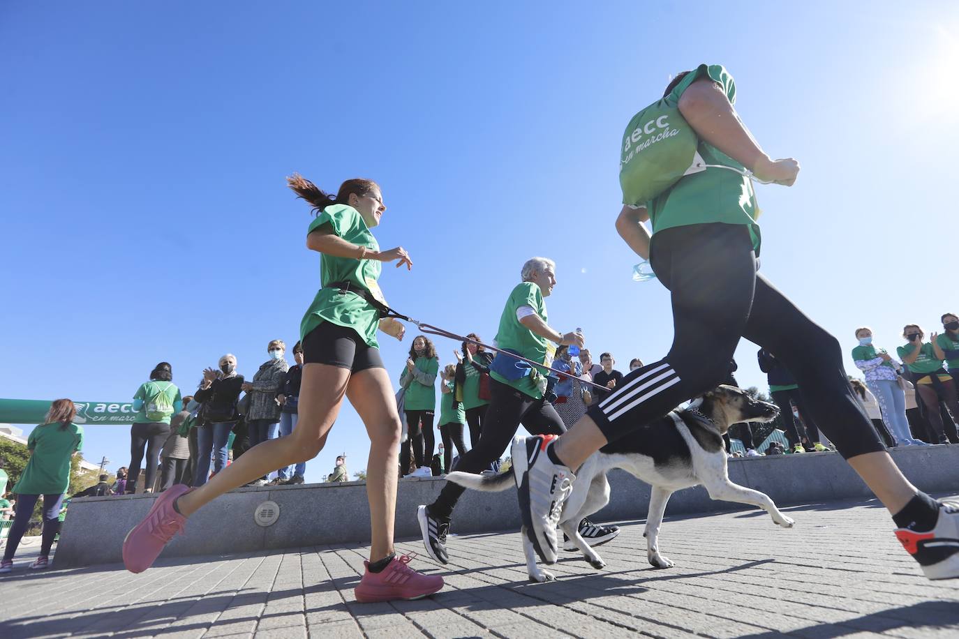 Felipe y Alfonso Reyes apadrinan la carrera contra el cáncer de Córdoba, en imágenes