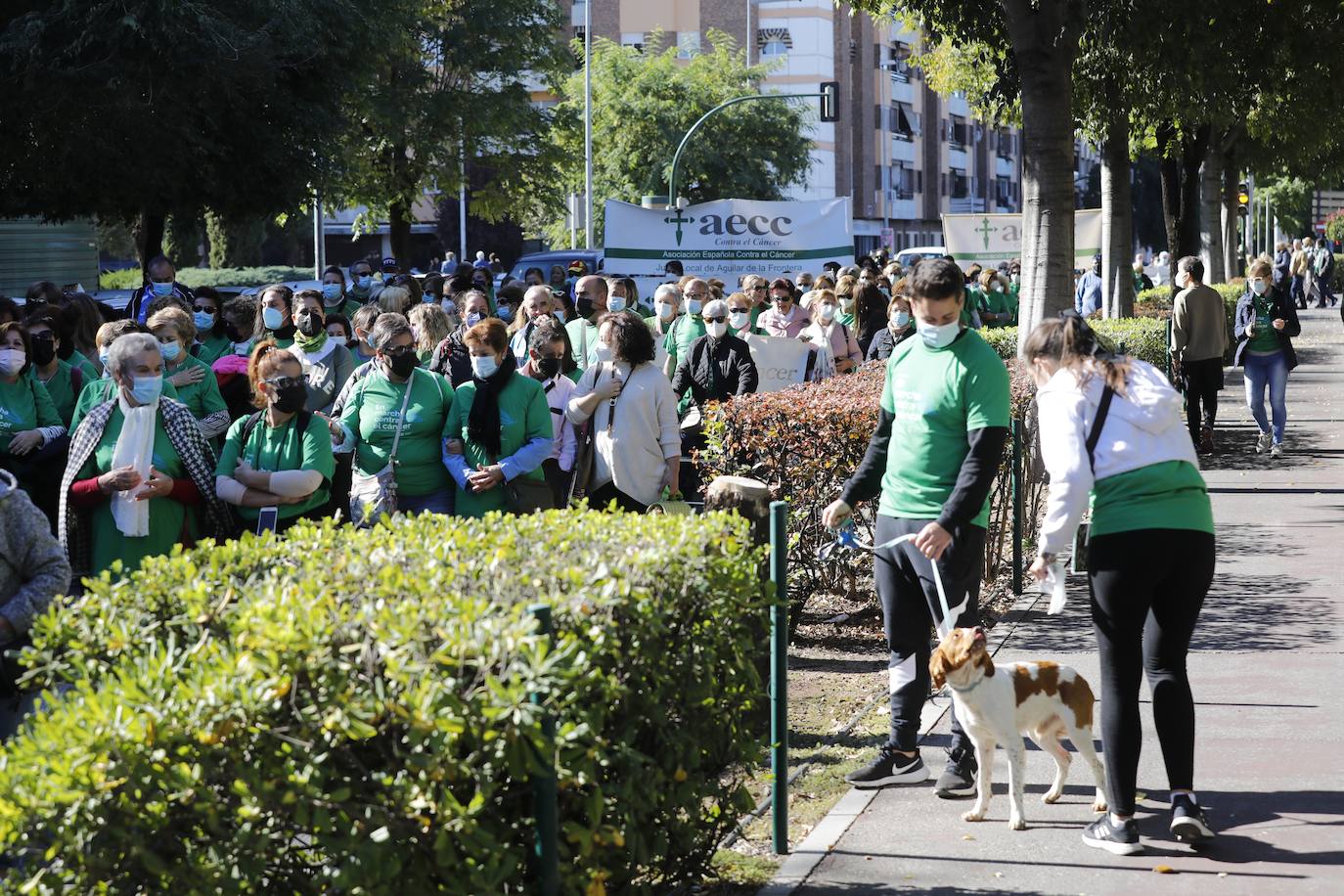 Felipe y Alfonso Reyes apadrinan la carrera contra el cáncer de Córdoba, en imágenes