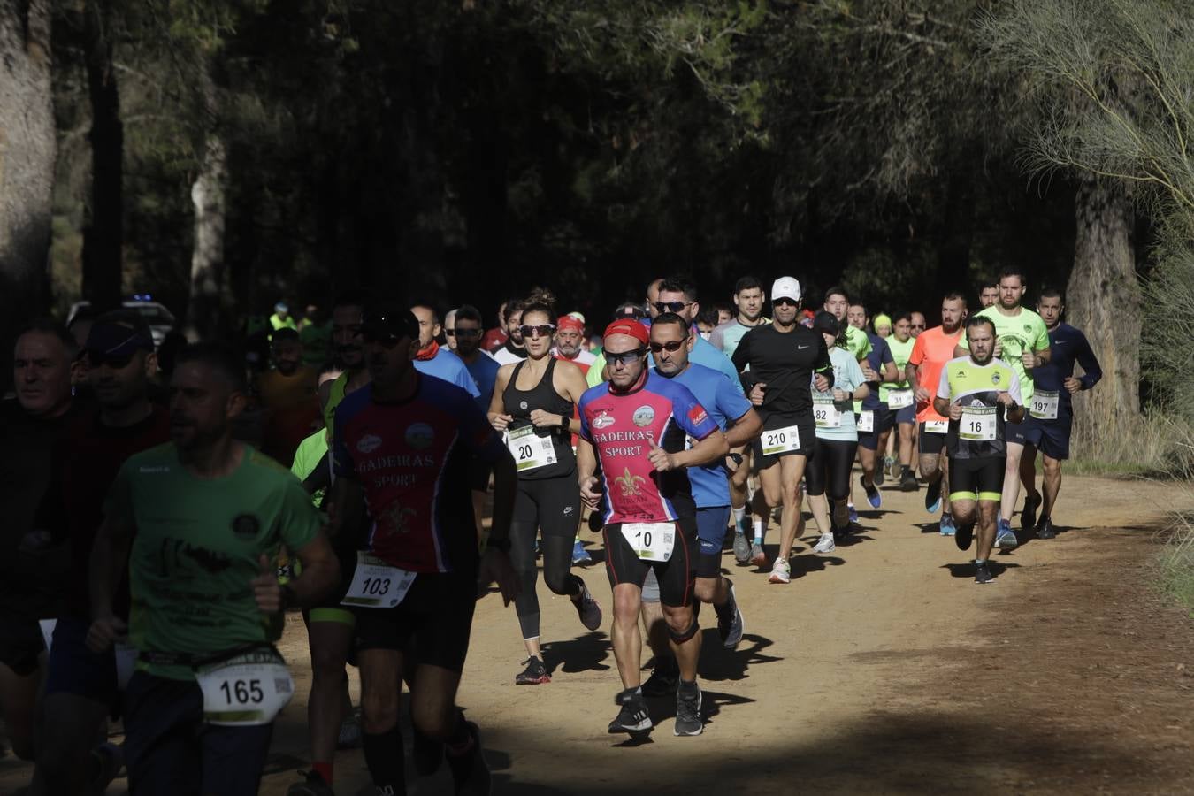 FOTOS: El VII Cross Pinar de La Plata de Arcos, en imágenes