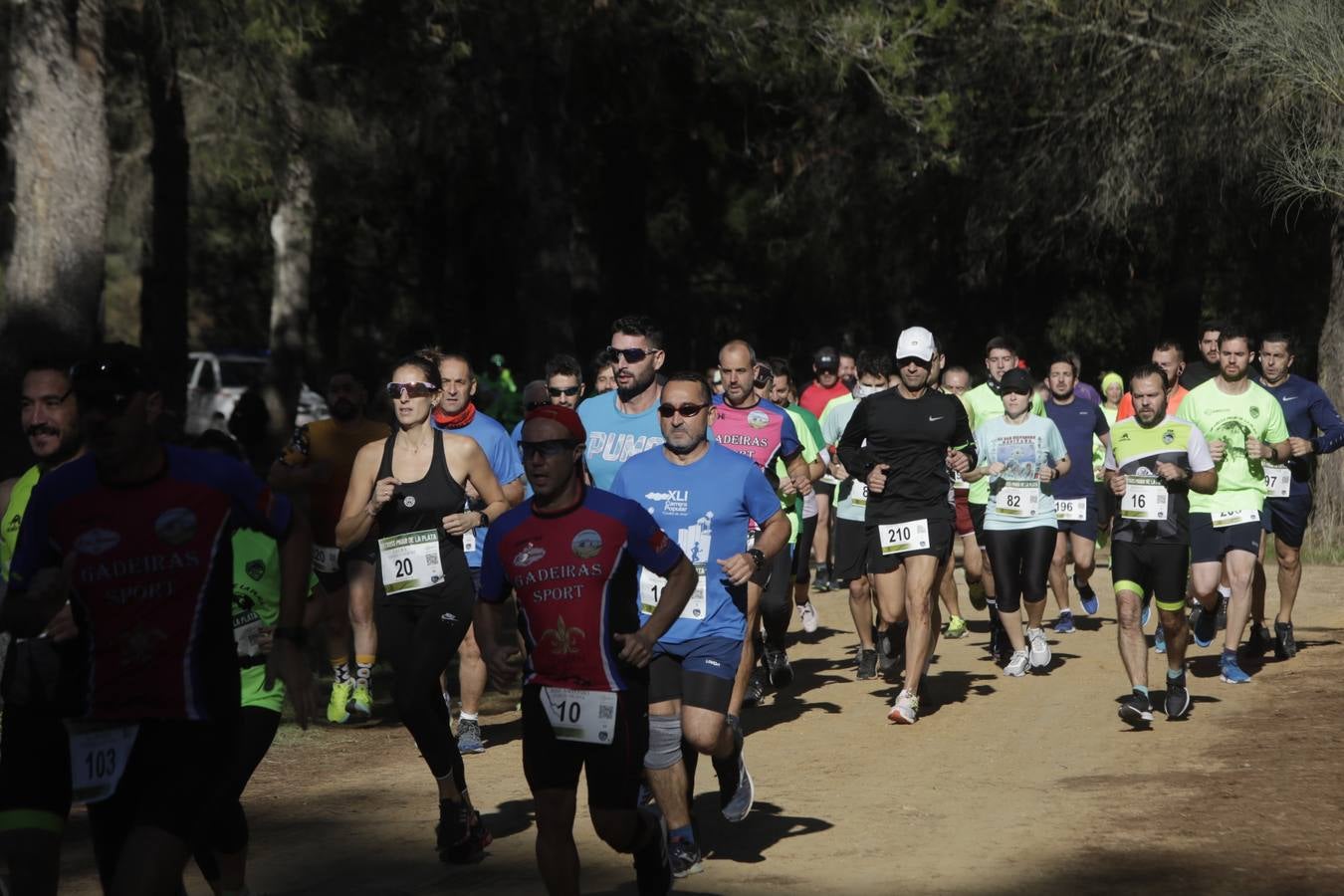 FOTOS: El VII Cross Pinar de La Plata de Arcos, en imágenes