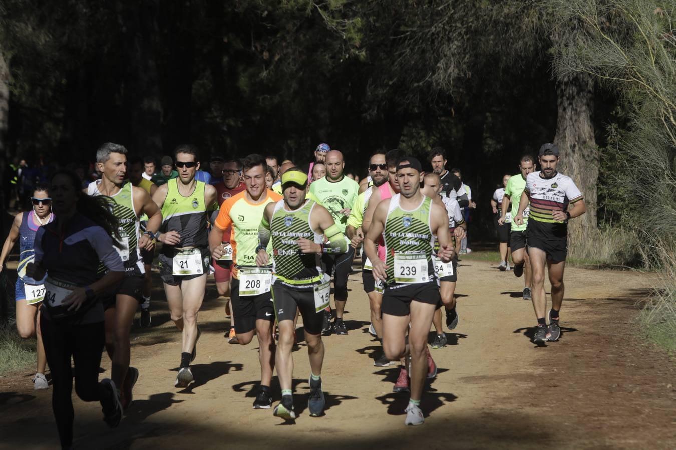 FOTOS: El VII Cross Pinar de La Plata de Arcos, en imágenes