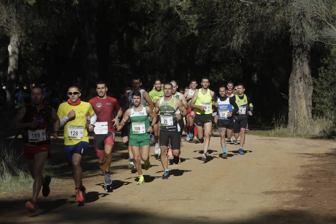 FOTOS: El VII Cross Pinar de La Plata de Arcos, en imágenes