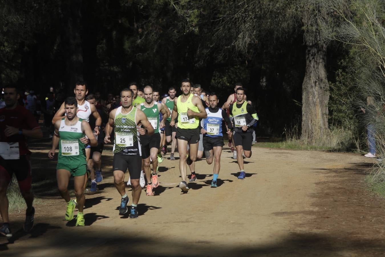 FOTOS: El VII Cross Pinar de La Plata de Arcos, en imágenes