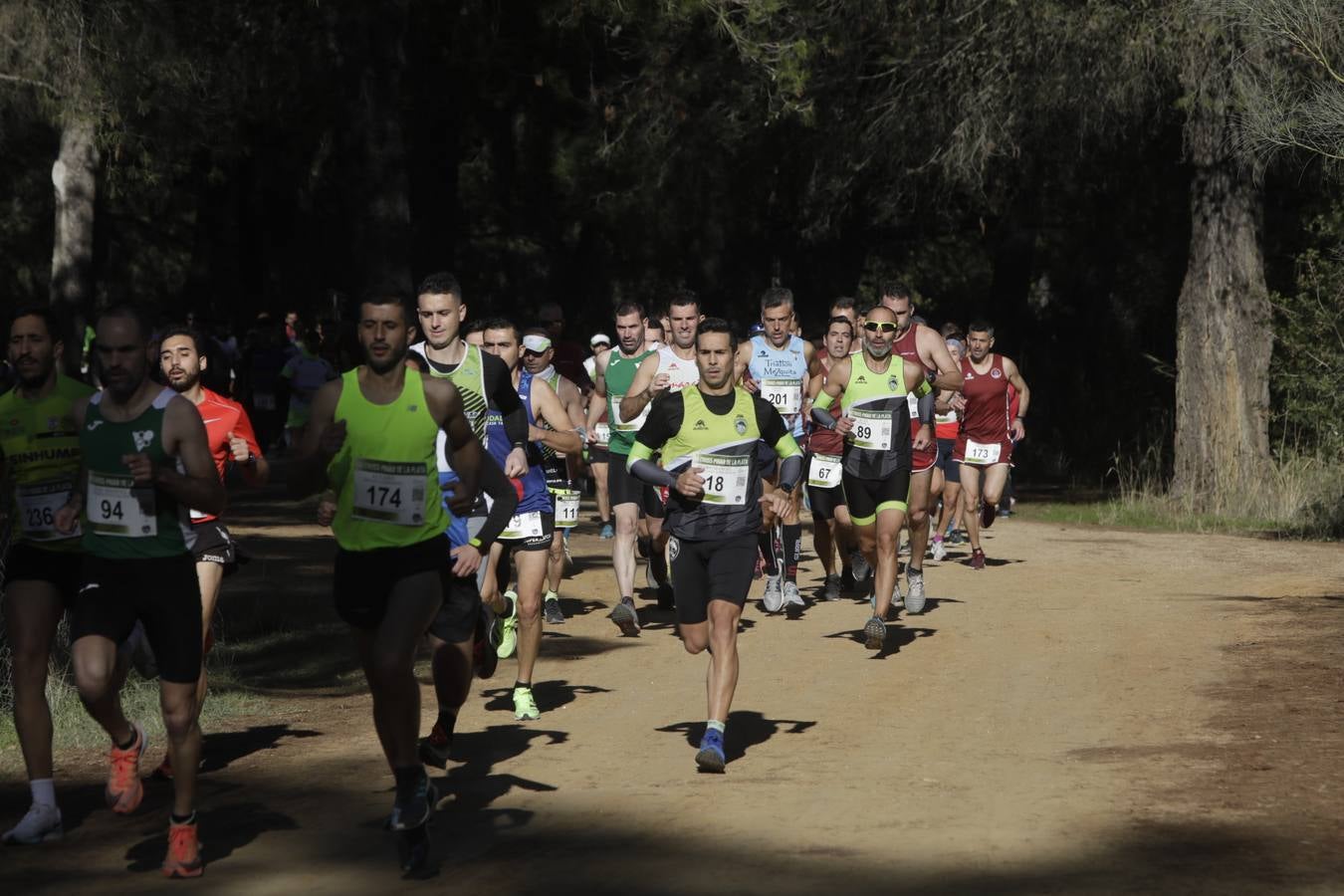 FOTOS: El VII Cross Pinar de La Plata de Arcos, en imágenes