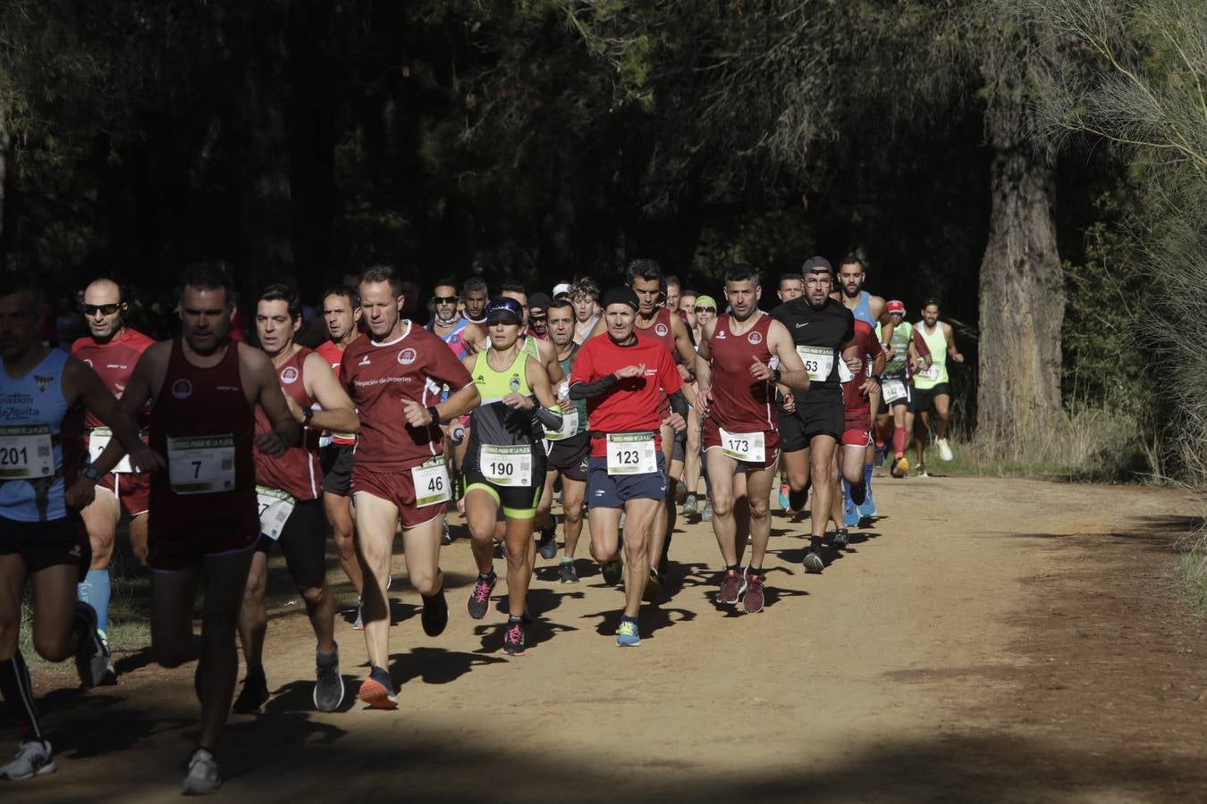 FOTOS: El VII Cross Pinar de La Plata de Arcos, en imágenes