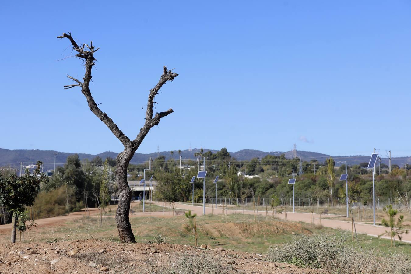 Los nuevos parques de Córdoba, en imágenes