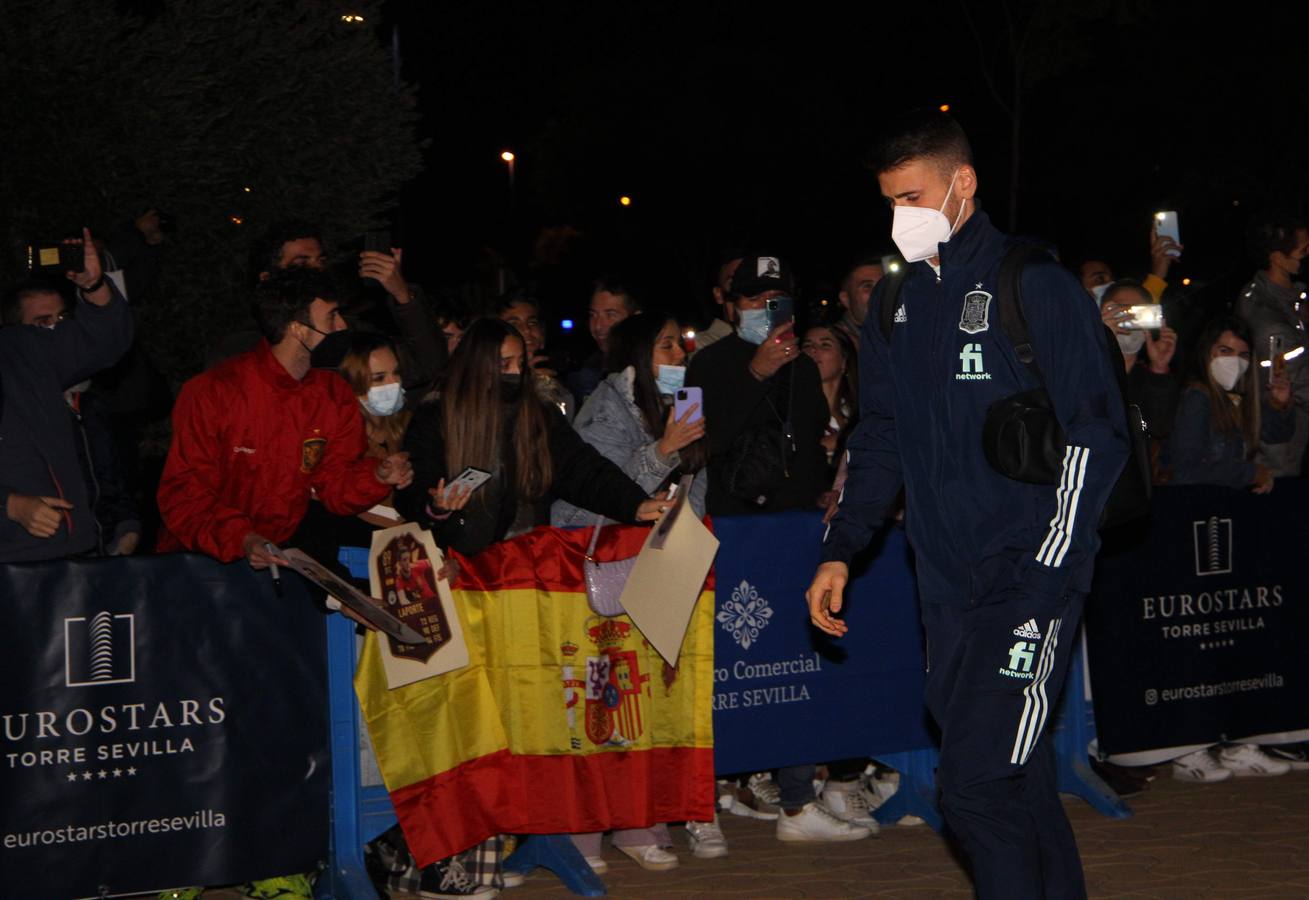 Llegada de la Selección Española de Fútbol a Sevilla, en imágenes