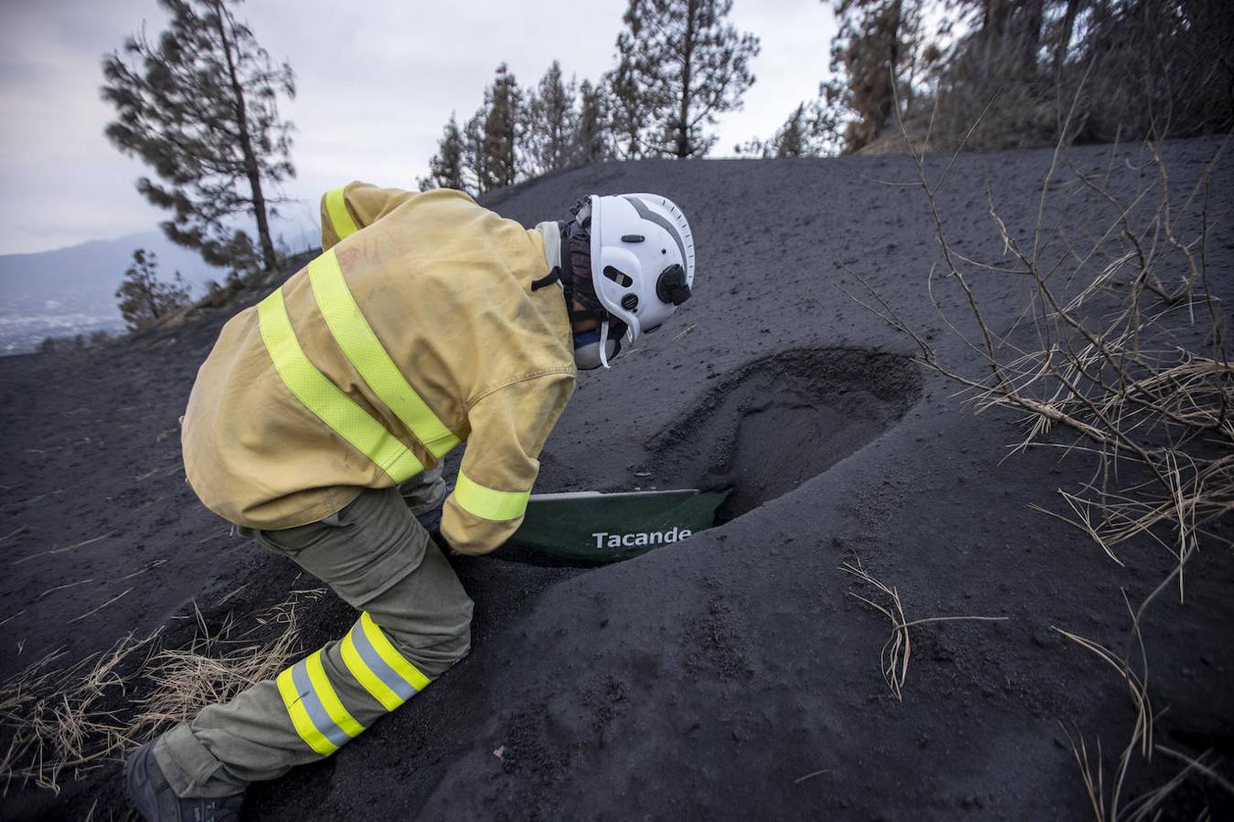 En una de las paradas observamos a un guarda forestal de la Palma desenterrar una señal del sendero al barrio de Tacande, hoy desaparecido bajo la lava. El poste de la señal tendría dos metros de alto y está totalmente bajo la ceniza. 