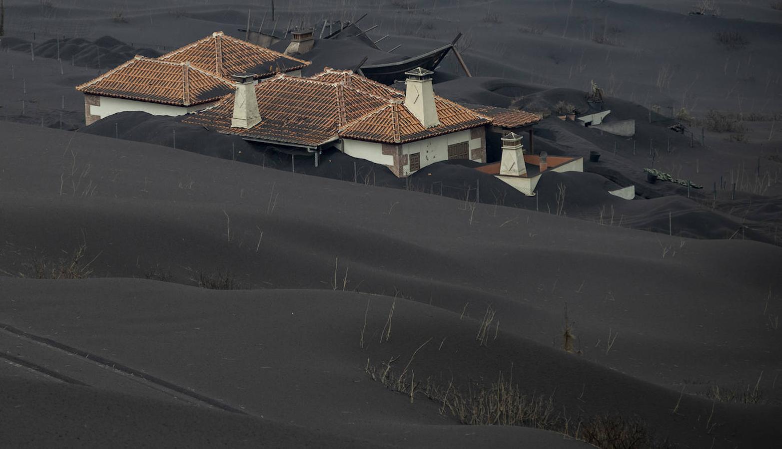 Montañas y montañas de ceniza ocultan casas, jardines, cultivos, recuerdos y se crea la espantosa sensación, al ir caminando, de estar pisando todo ello, como quien rompe una reliquia, destroza una obra de arte o profana un lugar sagrado.... 