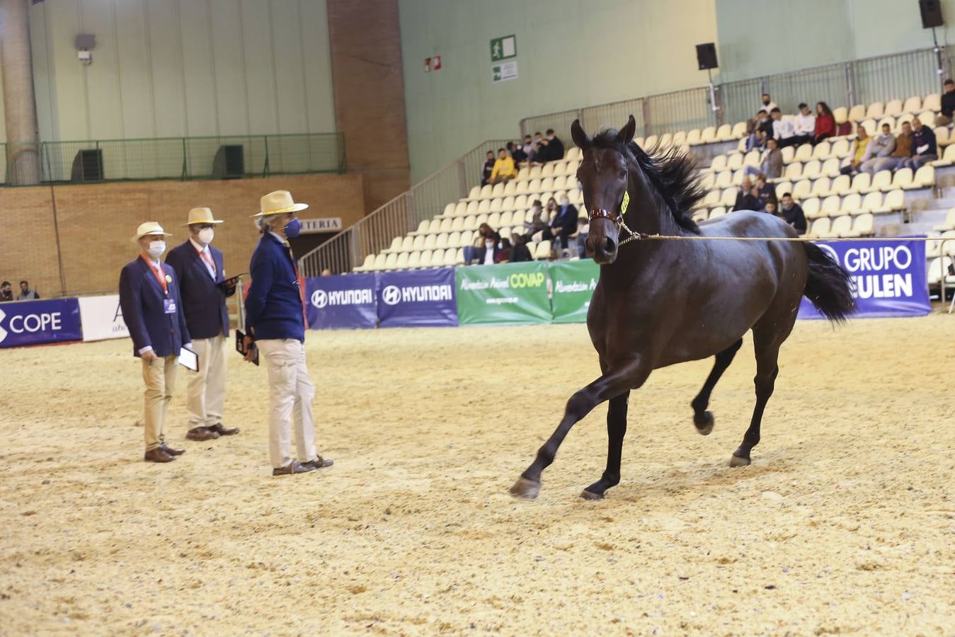 En imágenes, ambiente de la primera jornada del Sicab en Sevilla