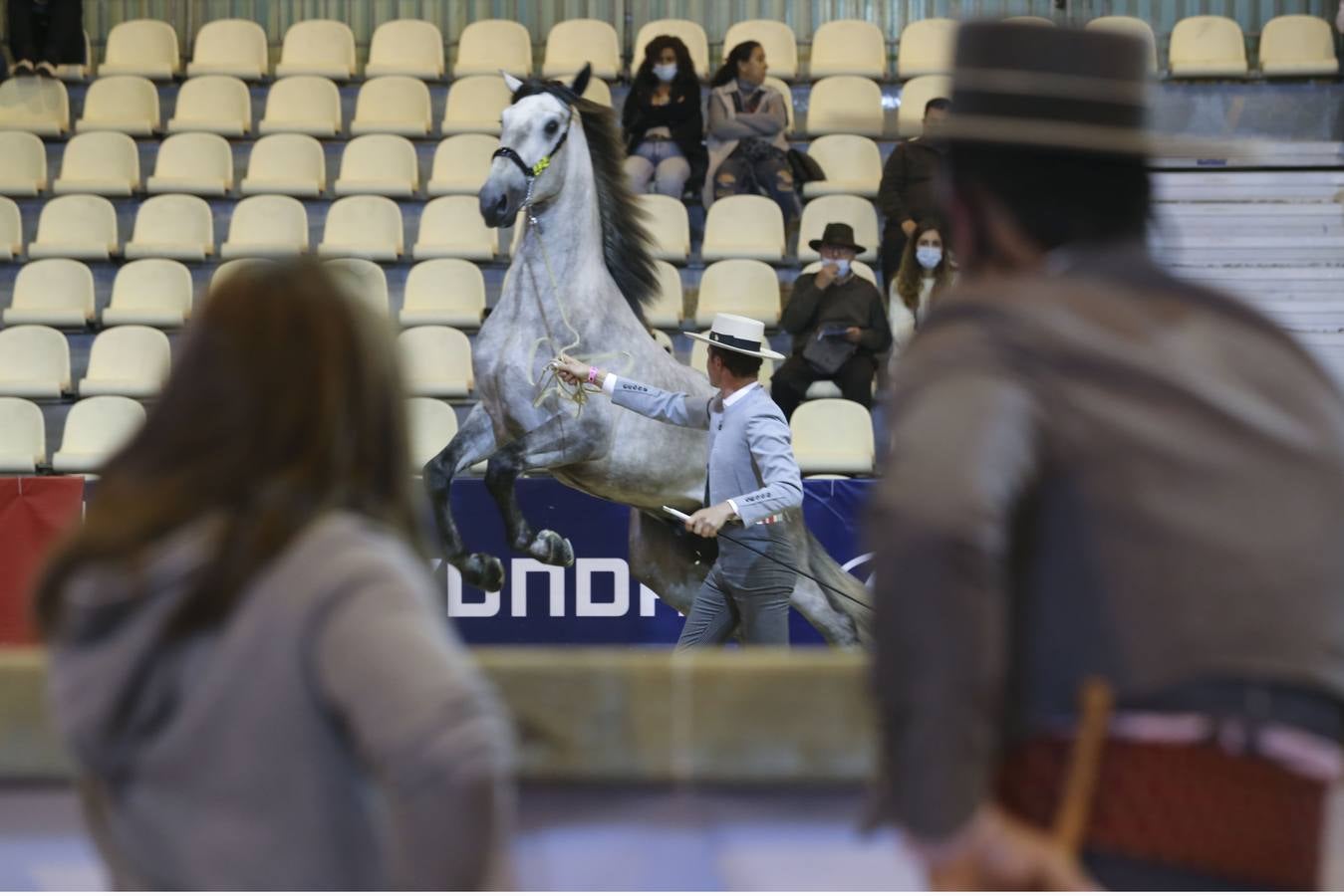 En imágenes, ambiente de la primera jornada del Sicab en Sevilla