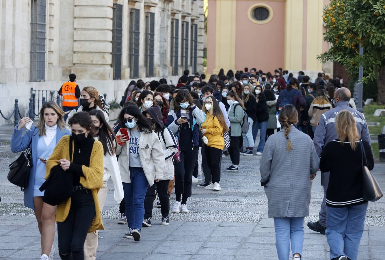 Movilización de los estudiantes de la Universidad de Sevilla, en imágenes