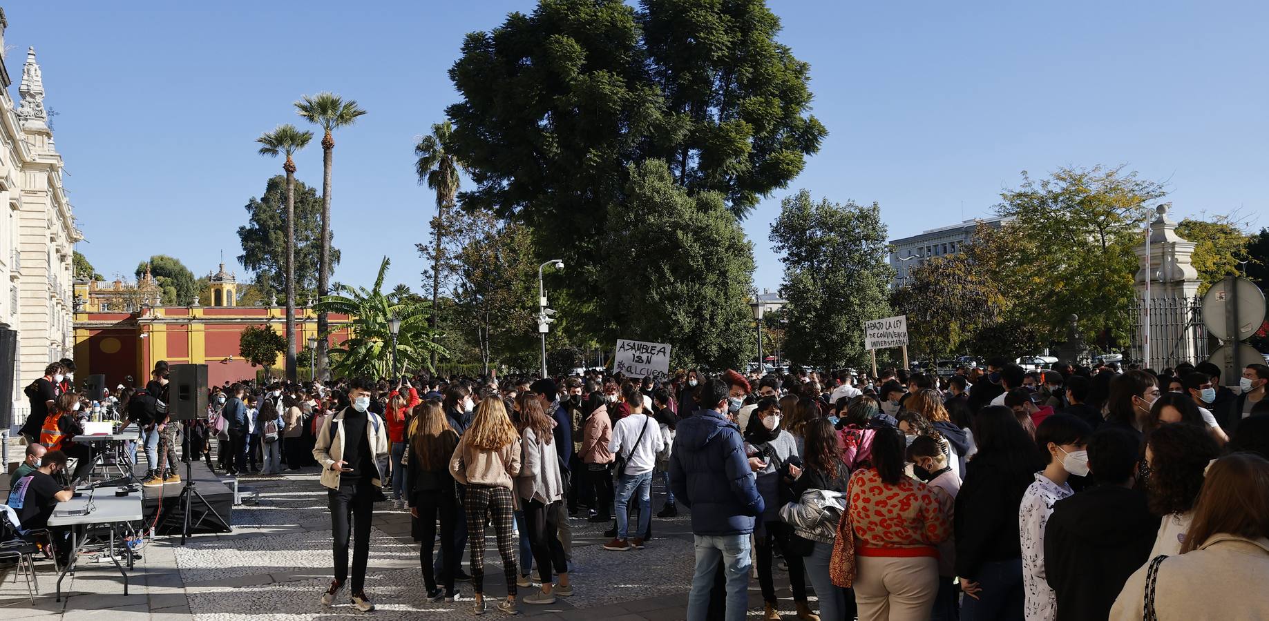 Movilización de los estudiantes de la Universidad de Sevilla, en imágenes