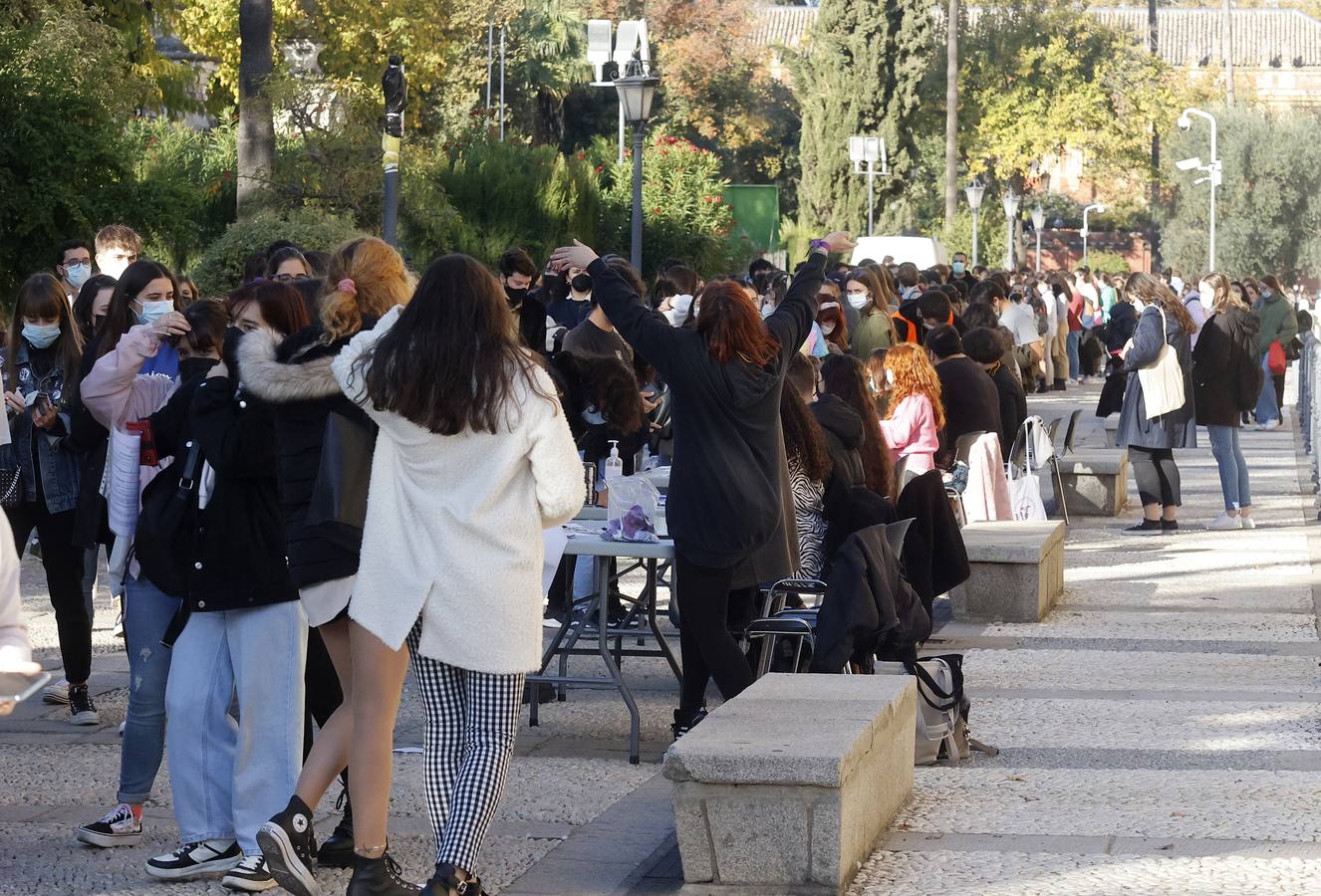 Movilización de los estudiantes de la Universidad de Sevilla, en imágenes