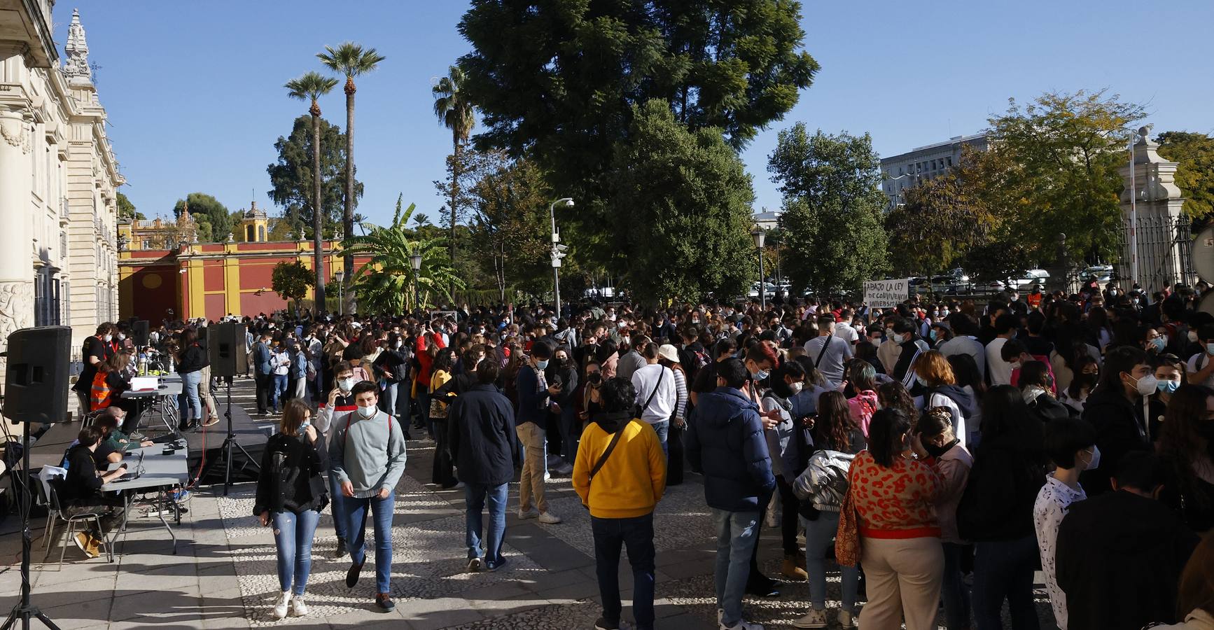 Movilización de los estudiantes de la Universidad de Sevilla, en imágenes