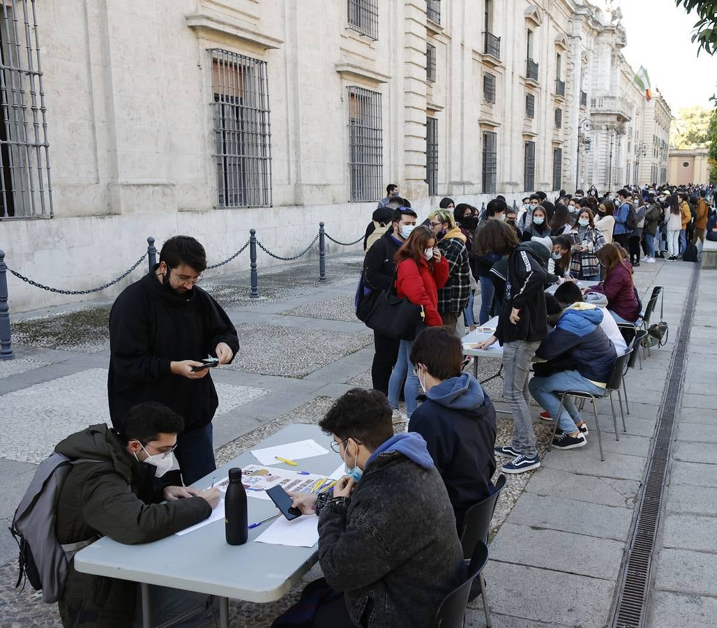 Movilización de los estudiantes de la Universidad de Sevilla, en imágenes