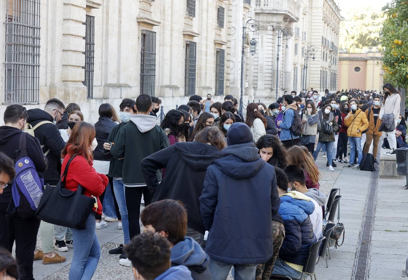 Movilización de los estudiantes de la Universidad de Sevilla, en imágenes