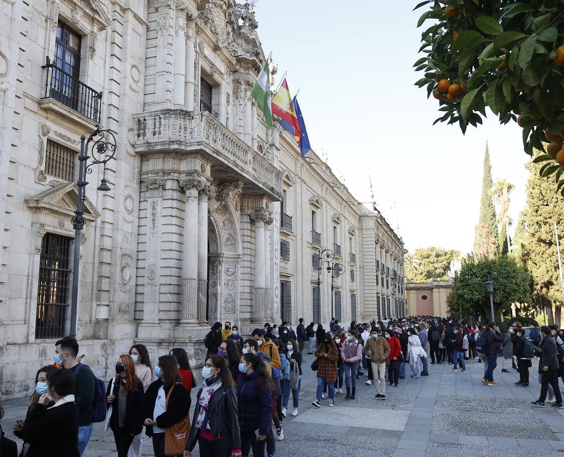 Movilización de los estudiantes de la Universidad de Sevilla, en imágenes