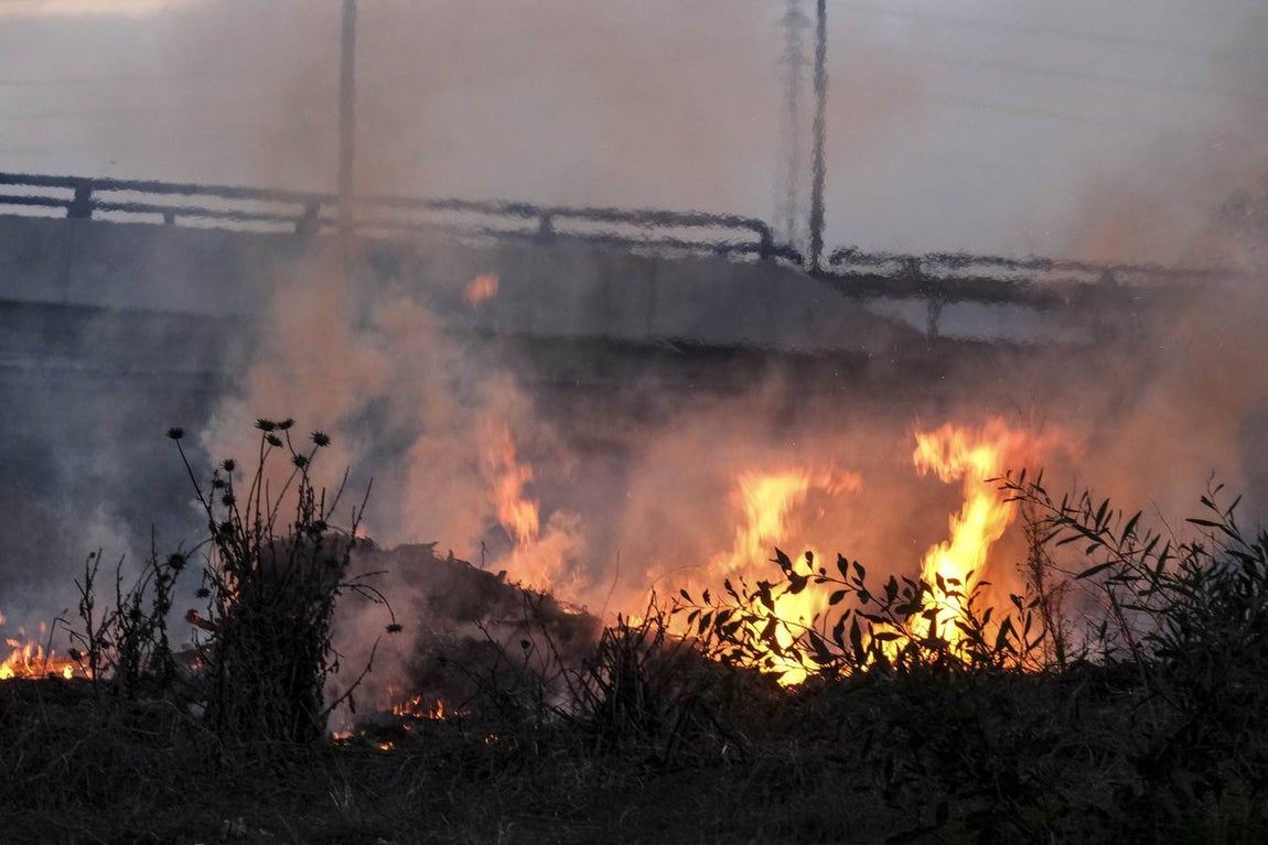 Fotos: La Policía impide que la huelga del Metal corte el puente Carranza en Cádiz