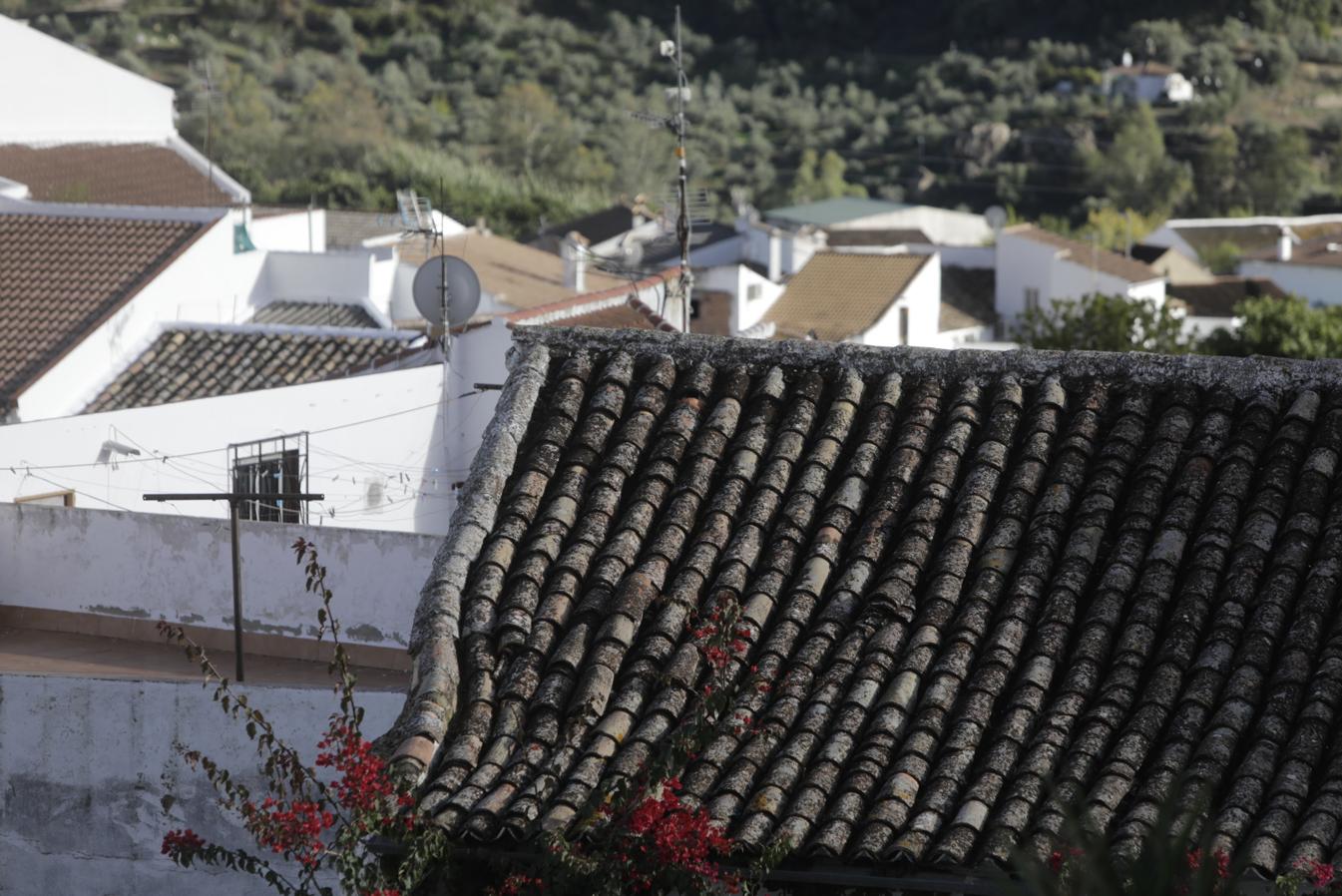 Los encantos de Algodonales, en imágenes