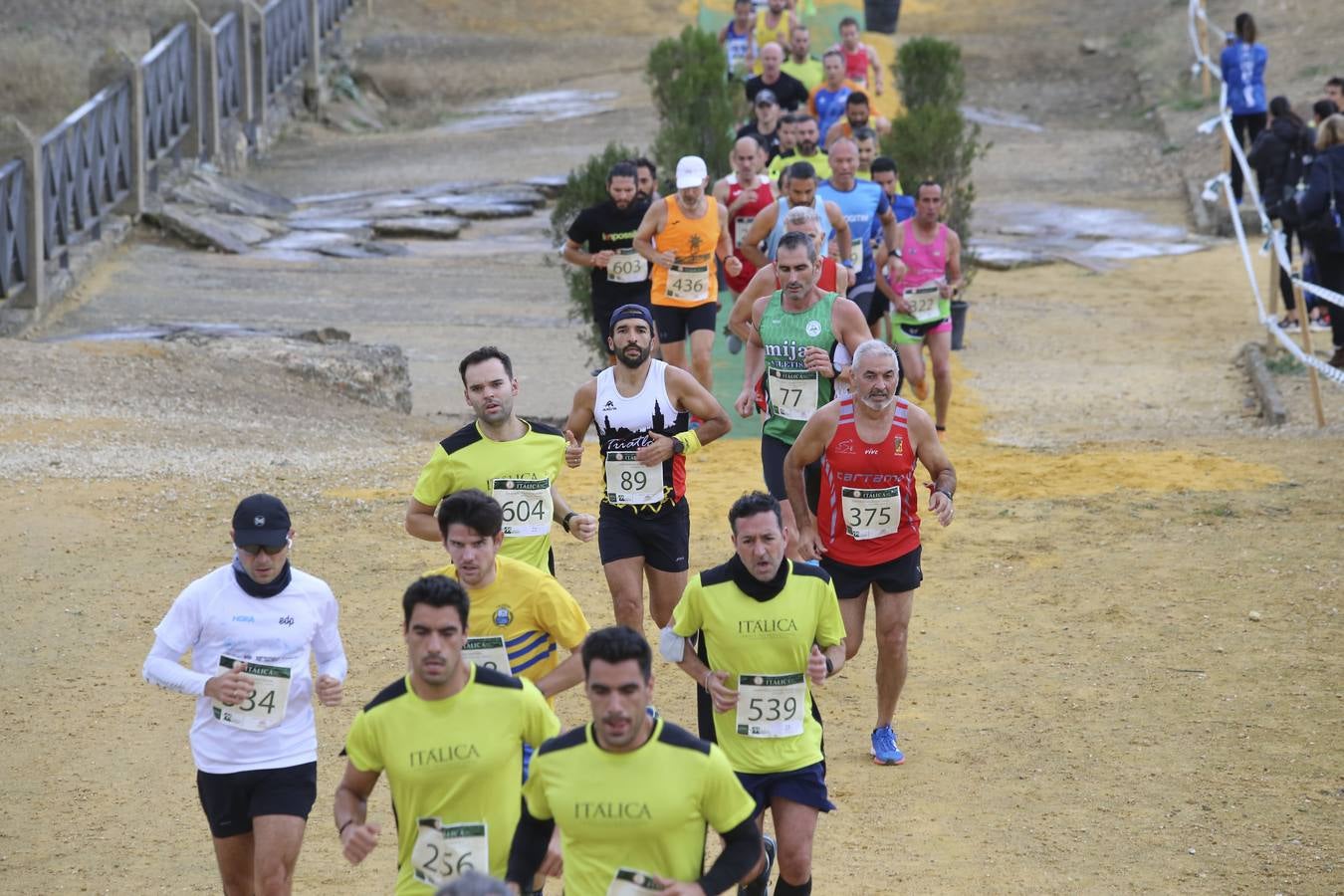 Celebración de las pruebas populares del Cross de Itálica