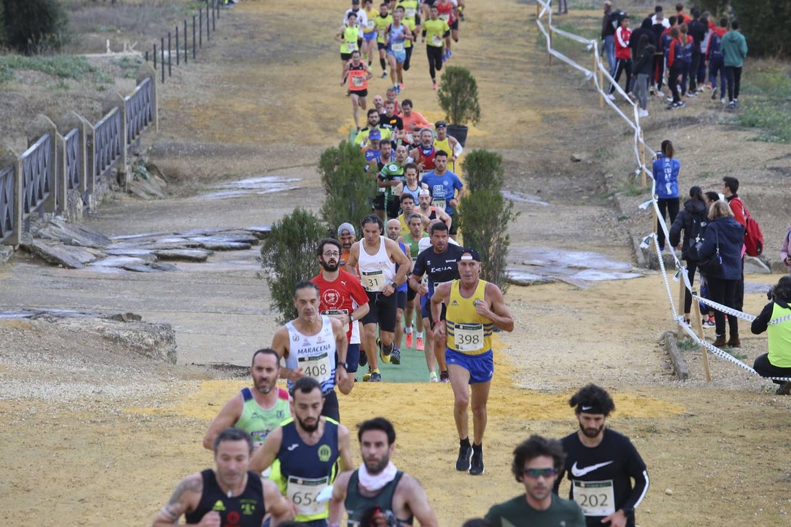 Celebración de las pruebas populares del Cross de Itálica