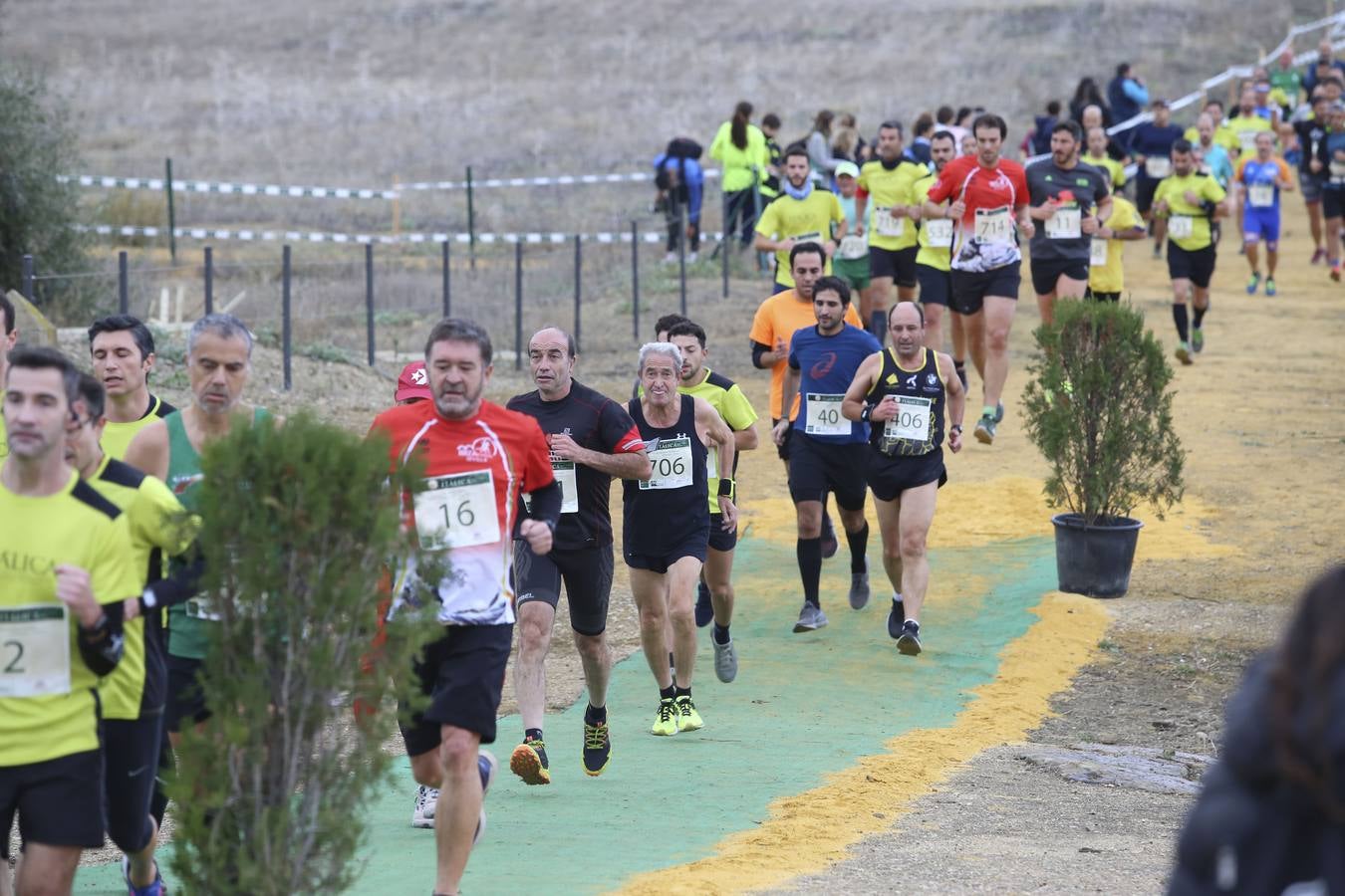 Celebración de las pruebas populares del Cross de Itálica