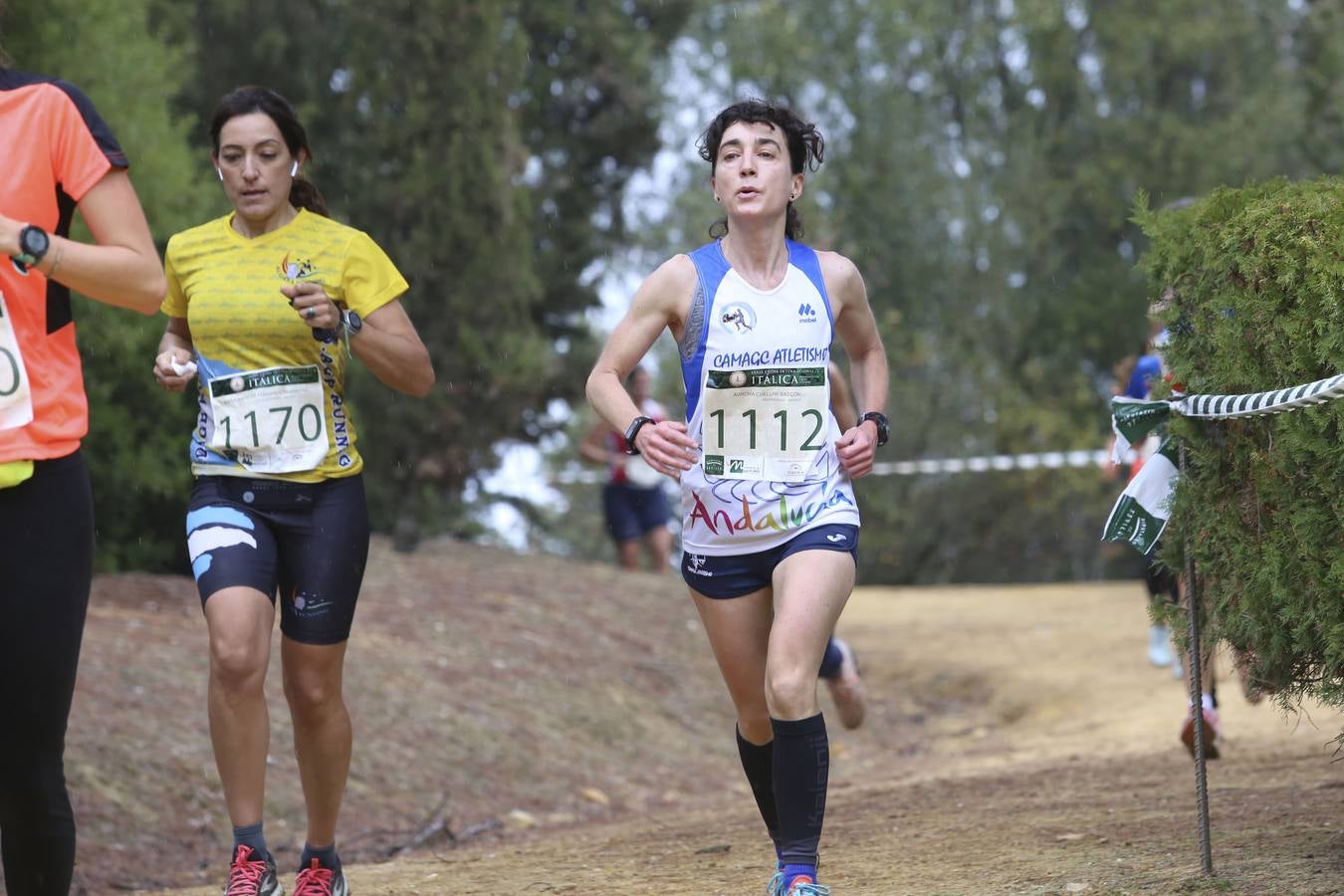 Celebración de las pruebas populares del Cross de Itálica