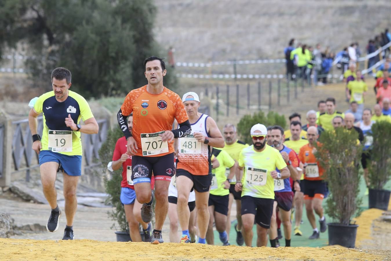 Celebración de las pruebas populares del Cross de Itálica