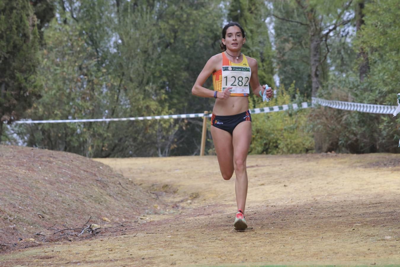 Celebración de las pruebas populares del Cross de Itálica