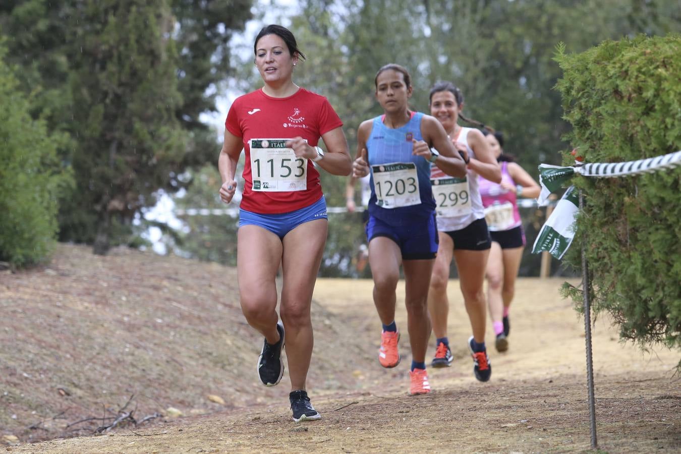 Celebración de las pruebas populares del Cross de Itálica